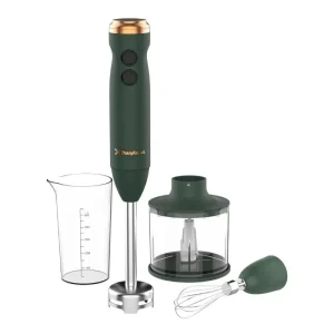 Mixeur Plongeant AHBV 987 GN 160.0409.002