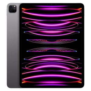 Ipad Pro 12.9 Pouces (Puce M2) 128 GB Gris sidéral