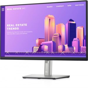 Moniteur ÉCRAN DELL P2422H-3Y 23.8 pouces