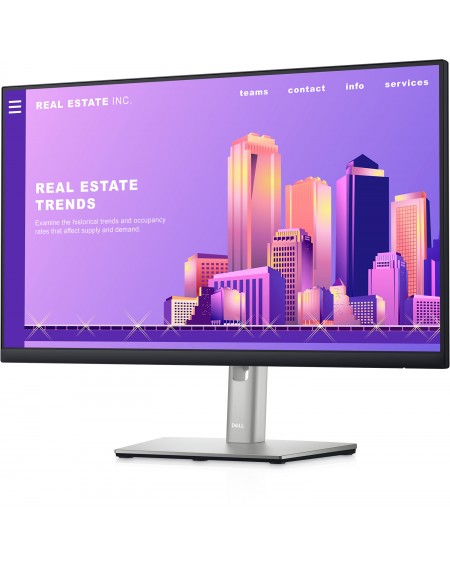 Moniteur ÉCRAN DELL P2422H-3Y 23.8 pouces